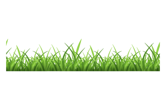 Download Green Grass Border. Fresh Herbal Lawn Pl - Herbal Collection